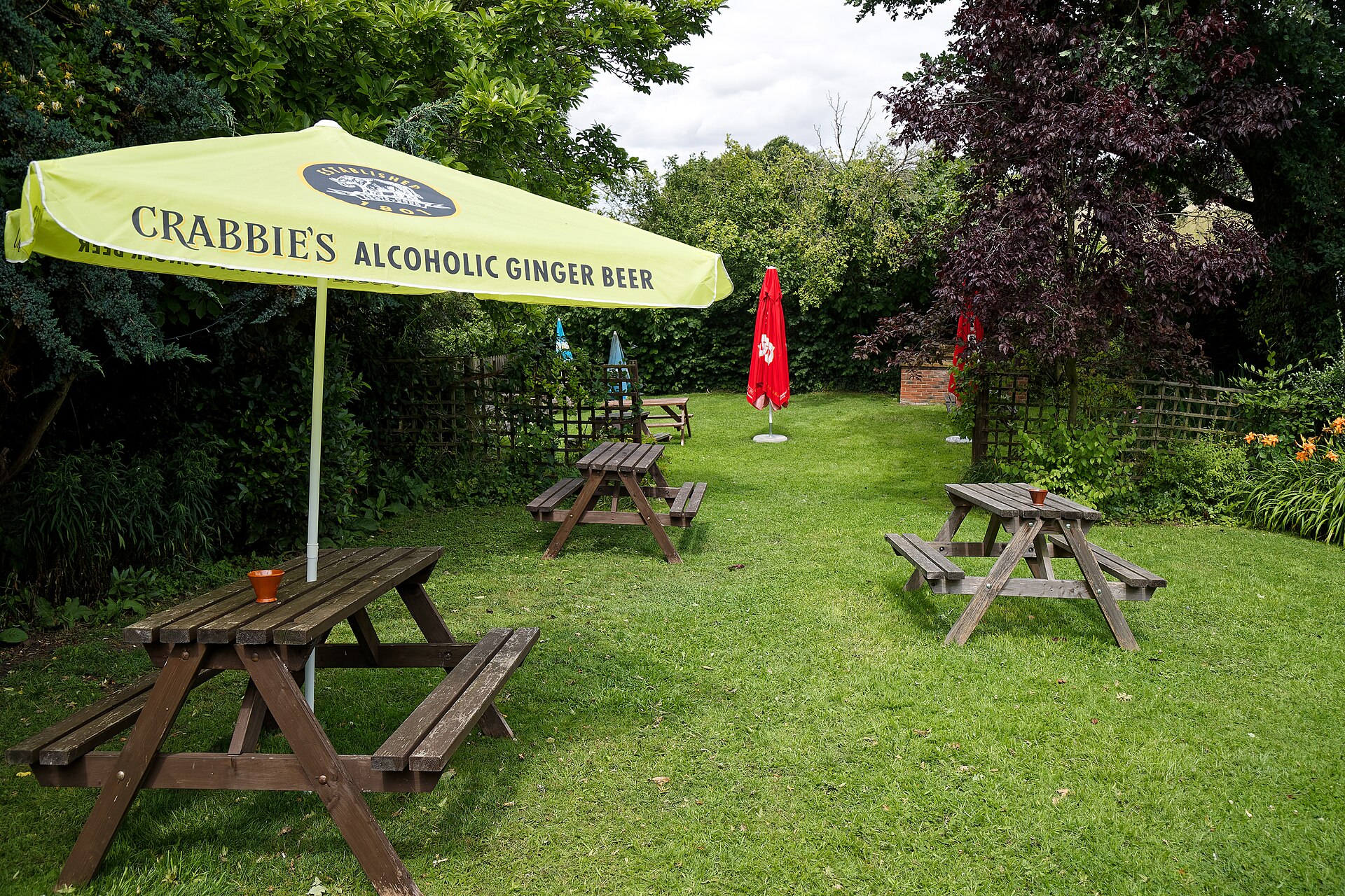 The beer garden in summer